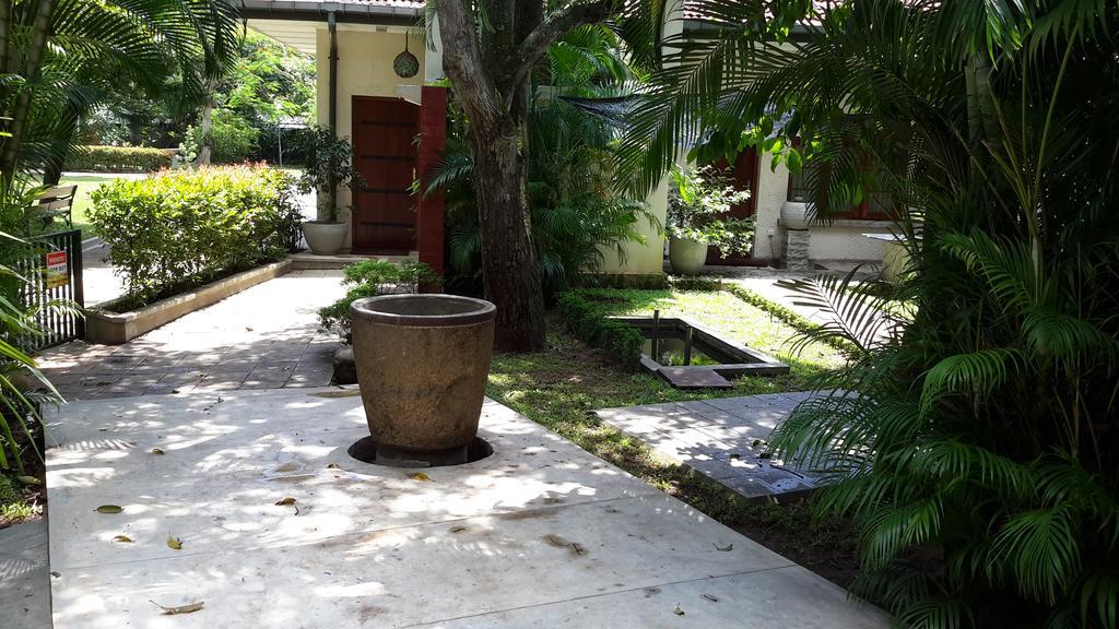 Lodge 19 Negombo Kültér fotó