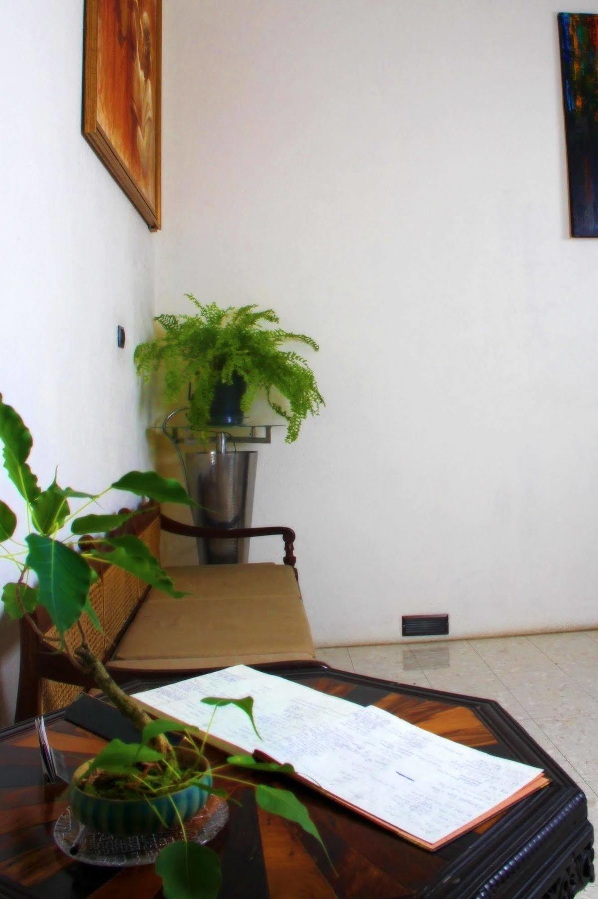 Lodge 19 Negombo Kültér fotó